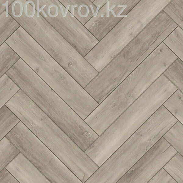 ABERHOF / CARMELITA / 1682