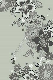 Silver_d116_LIGHT_GRAY_250*400