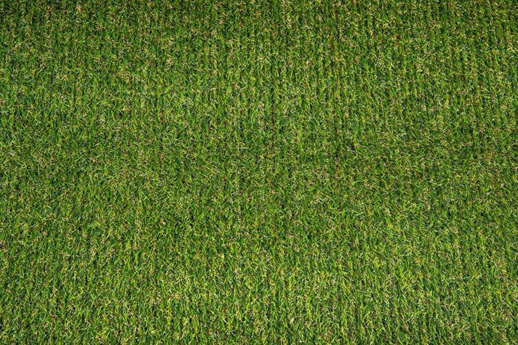 Трава искусственная "ИМПОРТЕКС", высота 20мм